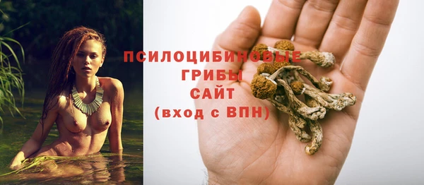 гидра Алексеевка