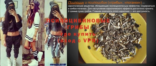 гидра Алексеевка