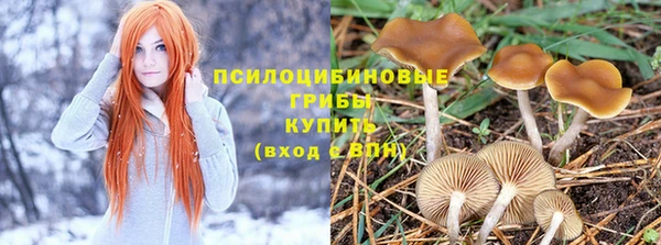 гидра Алексеевка