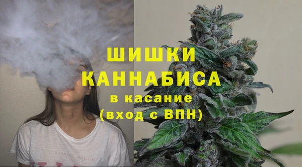 PSILOCYBIN Михайлов