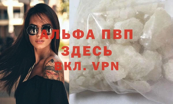 PSILOCYBIN Михайлов