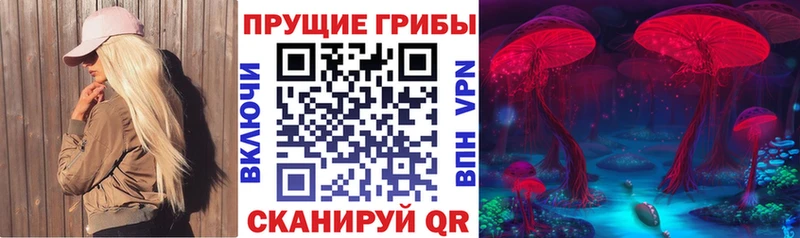 Псилоцибиновые грибы Psilocybine cubensis Харовск